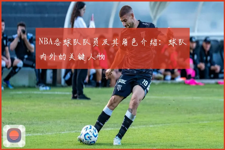 NBA各球队队员及其角色介绍：球队内外的关键人物