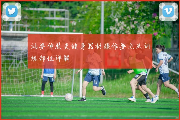站姿伸展类健身器材操作要点及训练部位详解