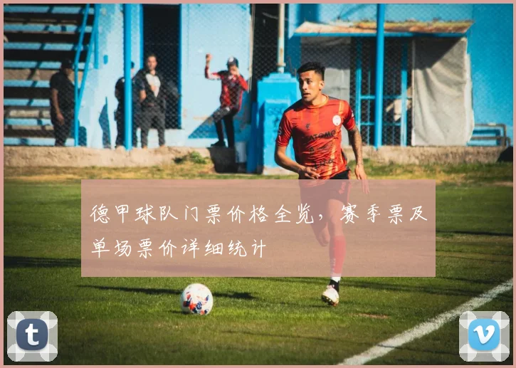 德甲球队门票价格全览，赛季票及单场票价详细统计