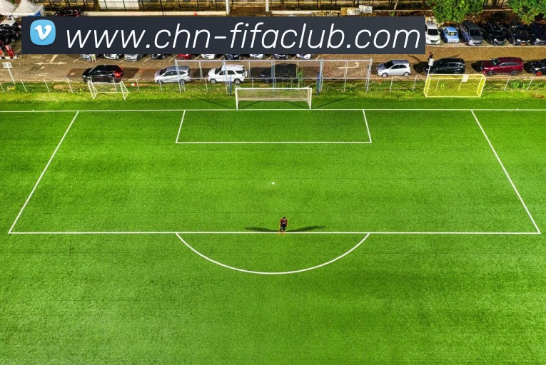 多媒体互动体验