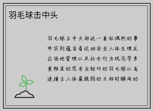 羽毛球击中头